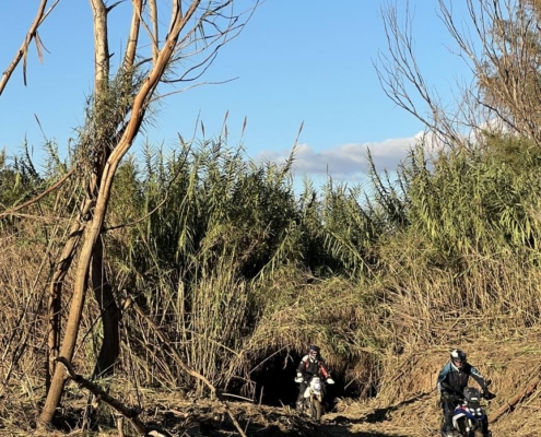 BMW Motorrad Expedition Leader certificering BERRT